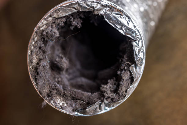 Best HVAC Duct Inspection Services  in Whittingham, NJ